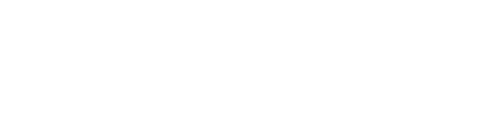 Lily & Lime | Wedding Photography Experts